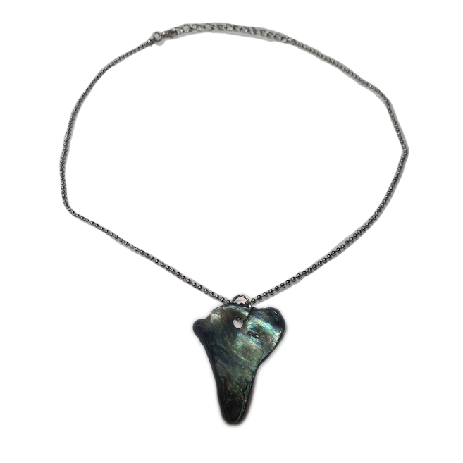 Paua Shell Necklace With Silver Chain