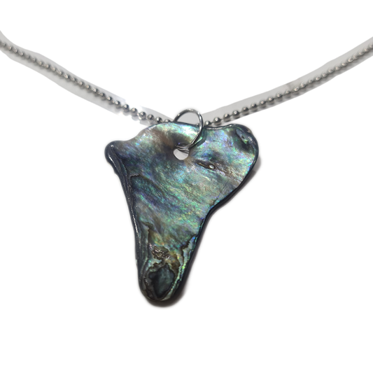 Paua Shell Necklace With Silver Chain