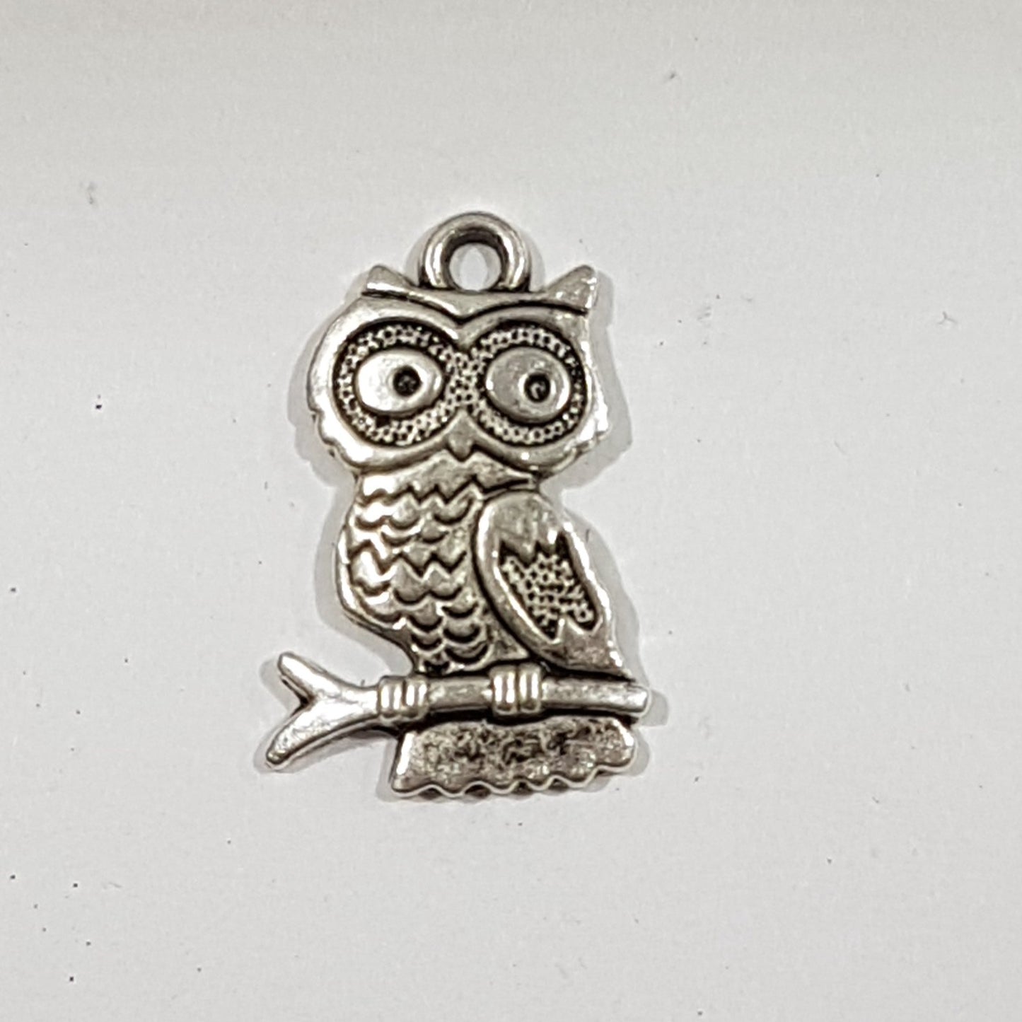 Silver Owl on perch with big eyes Charm
