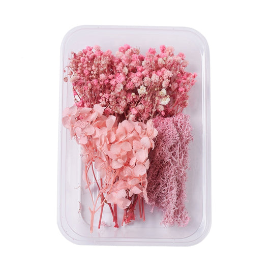 Mixed Pink Dried Flowers