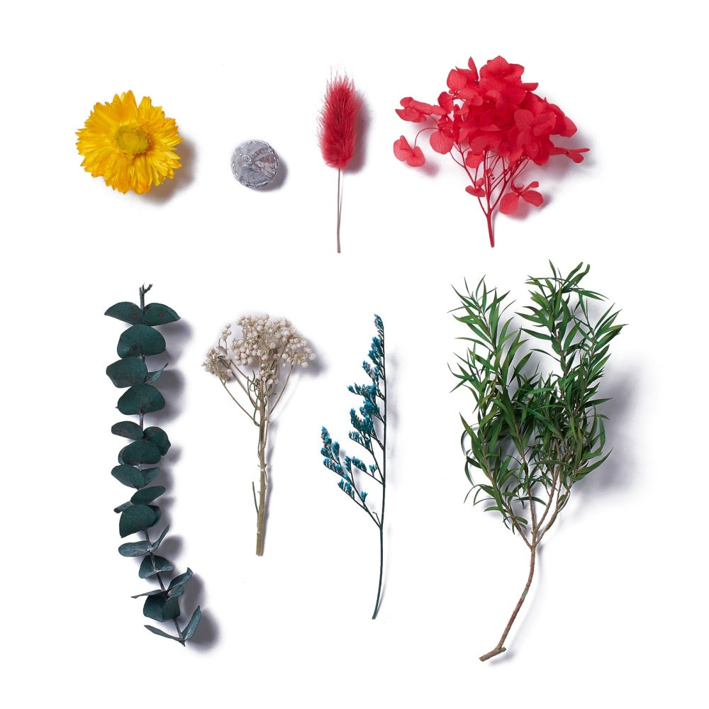 Mixed Red and Green Dried Flowers