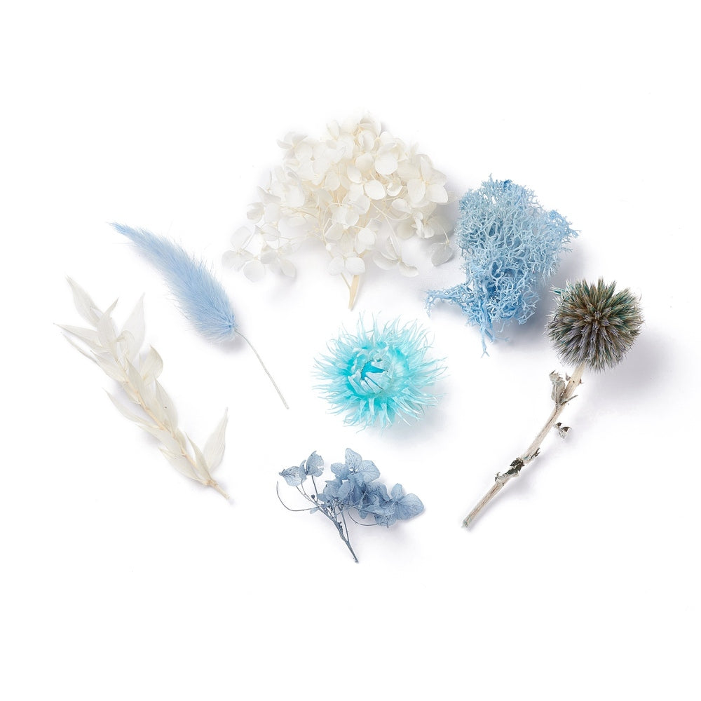 Mixed White and Blue Dried Flowers