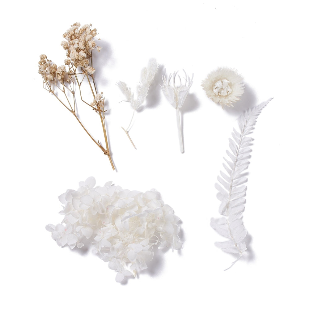 Mixed White Dried Flowers