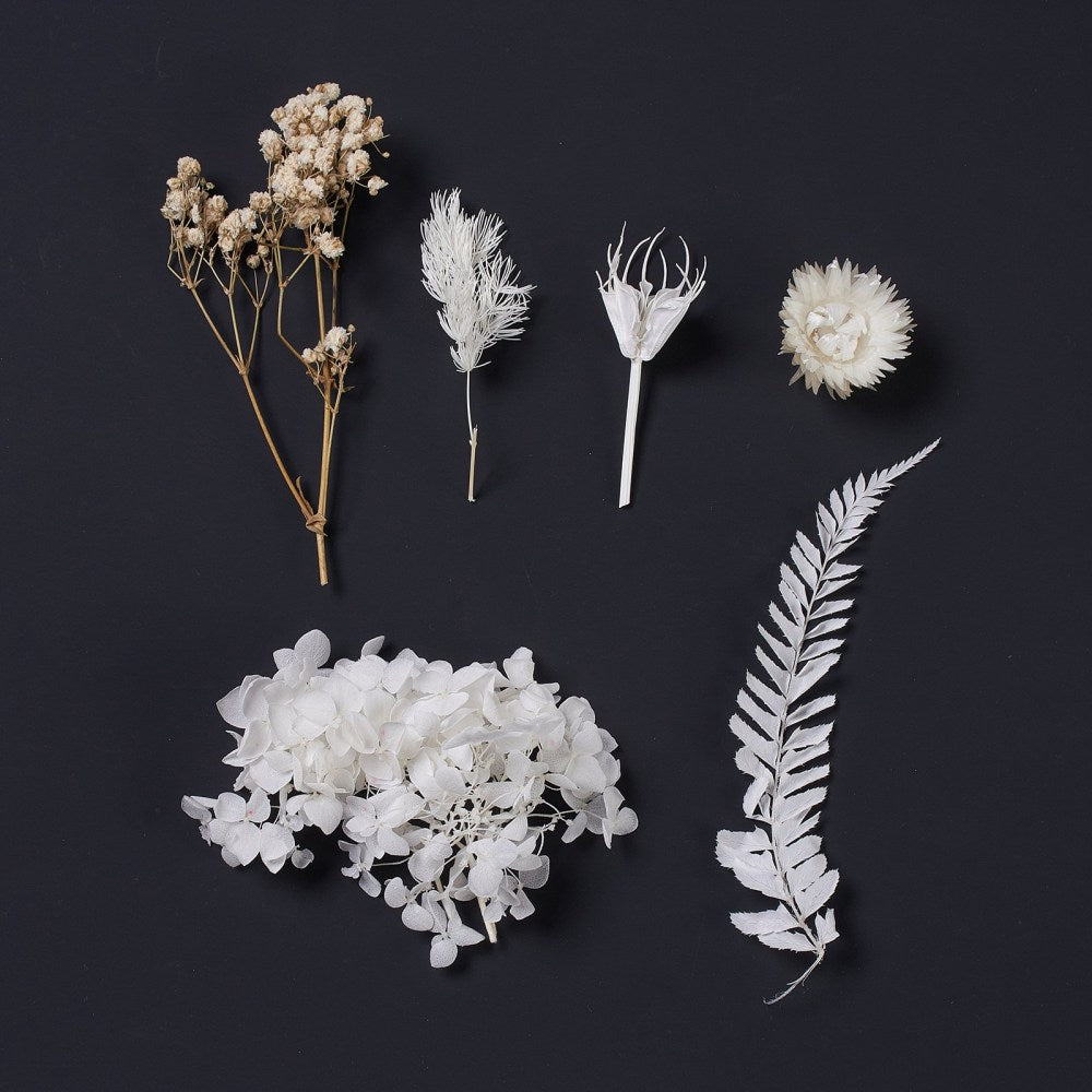 Mixed White Dried Flowers
