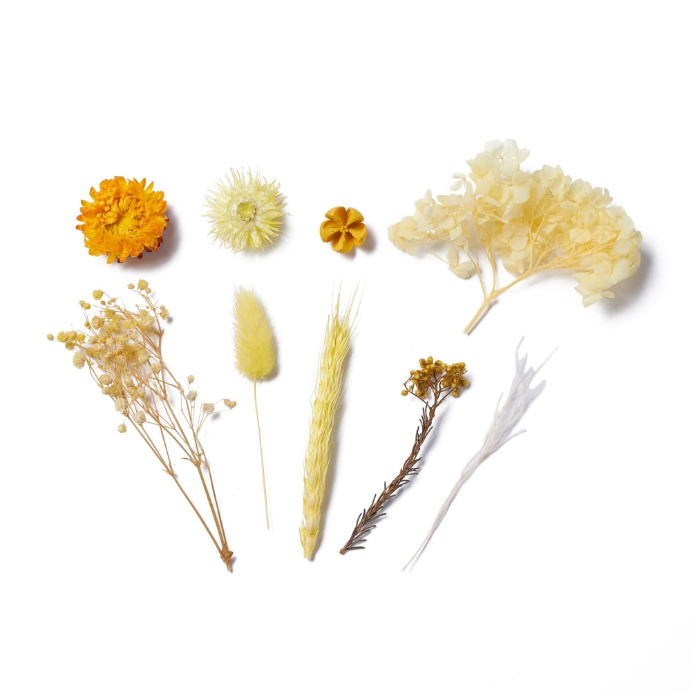 Mixed Yellow Dried Flowers