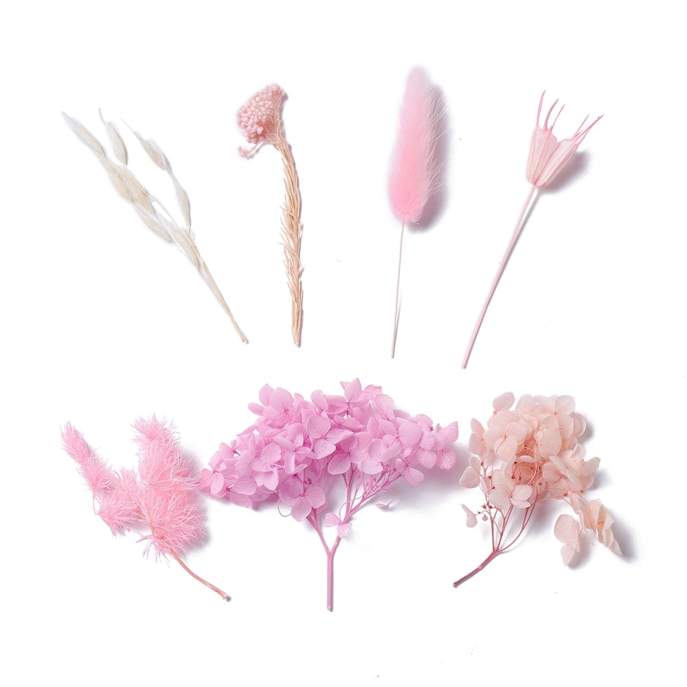Mixed Light Pink Dried Flowers