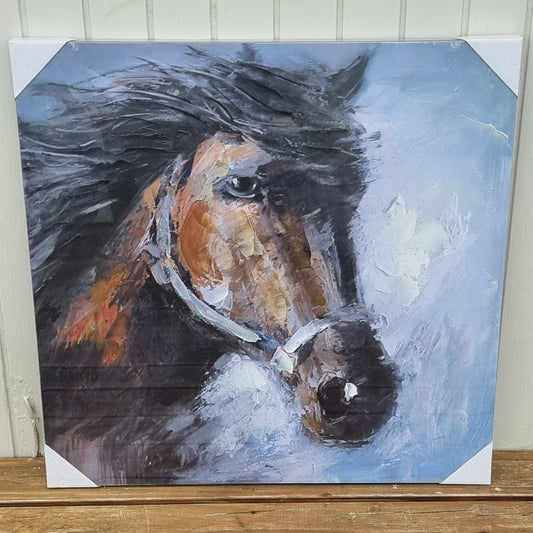 Oil Canvas Painting - Horse 80x80cm