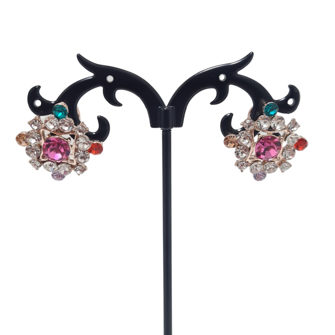 Multi Colour Sparkling Earrings