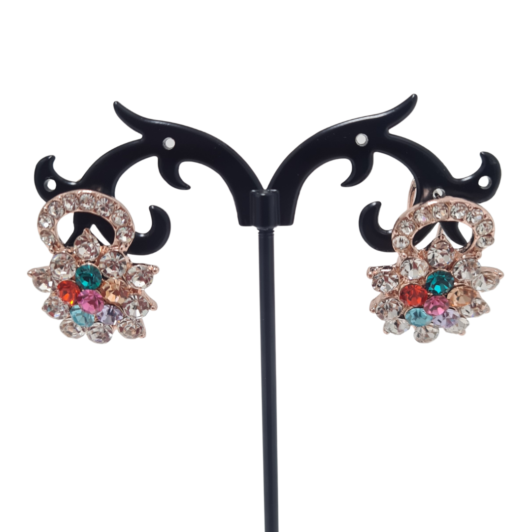 Multi Colour Rhinestone Earrings