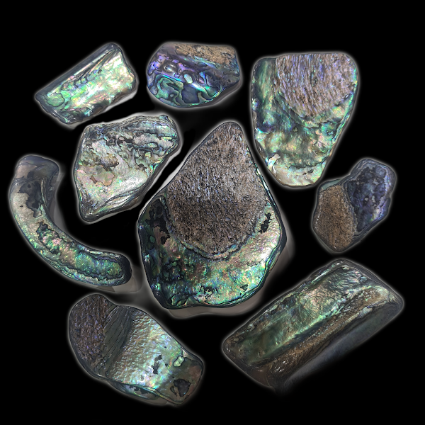 Large Sized 50g Paua Shell Pieces