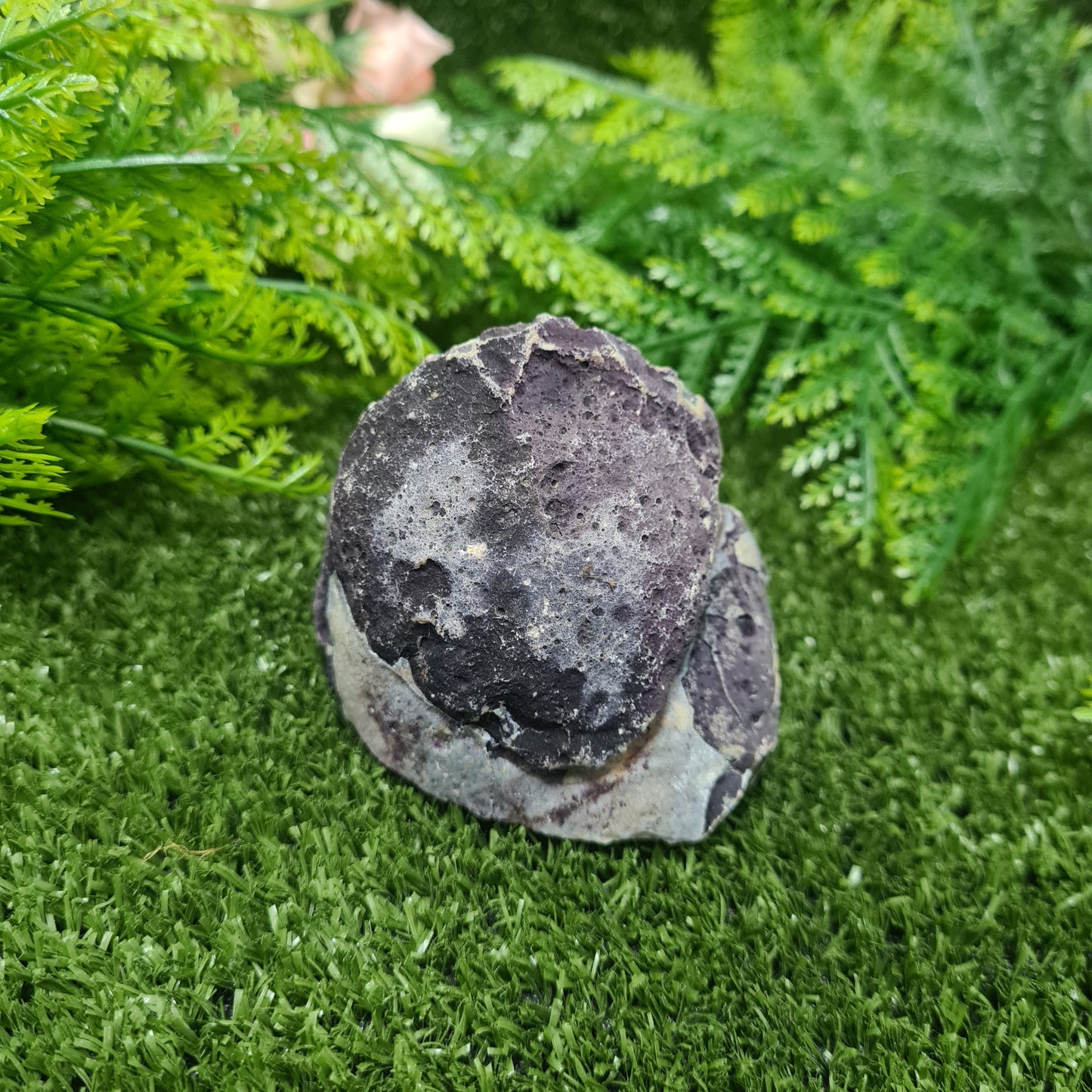 Agate Geode Dyed Purple