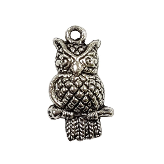 Dark Silver Owl on perch Charm