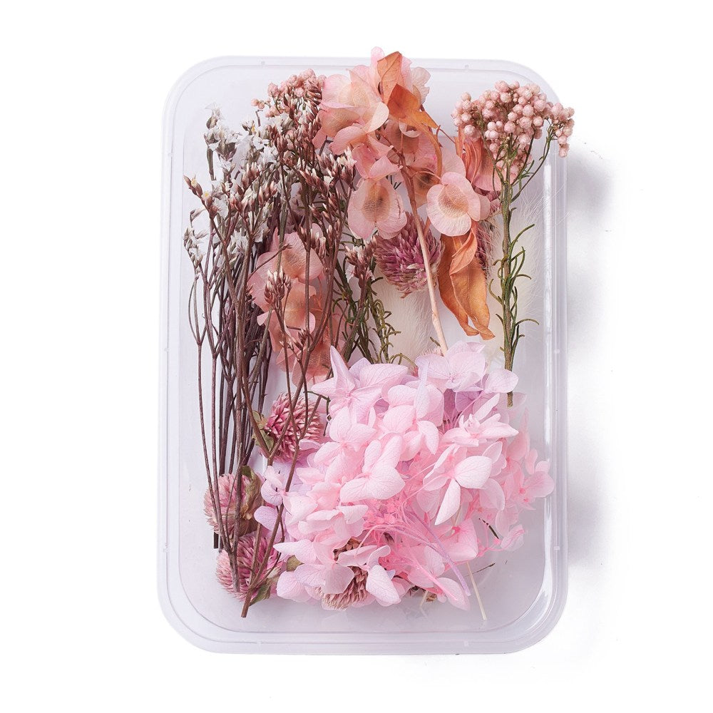 Mixed Vintage Pink Dried Flowers