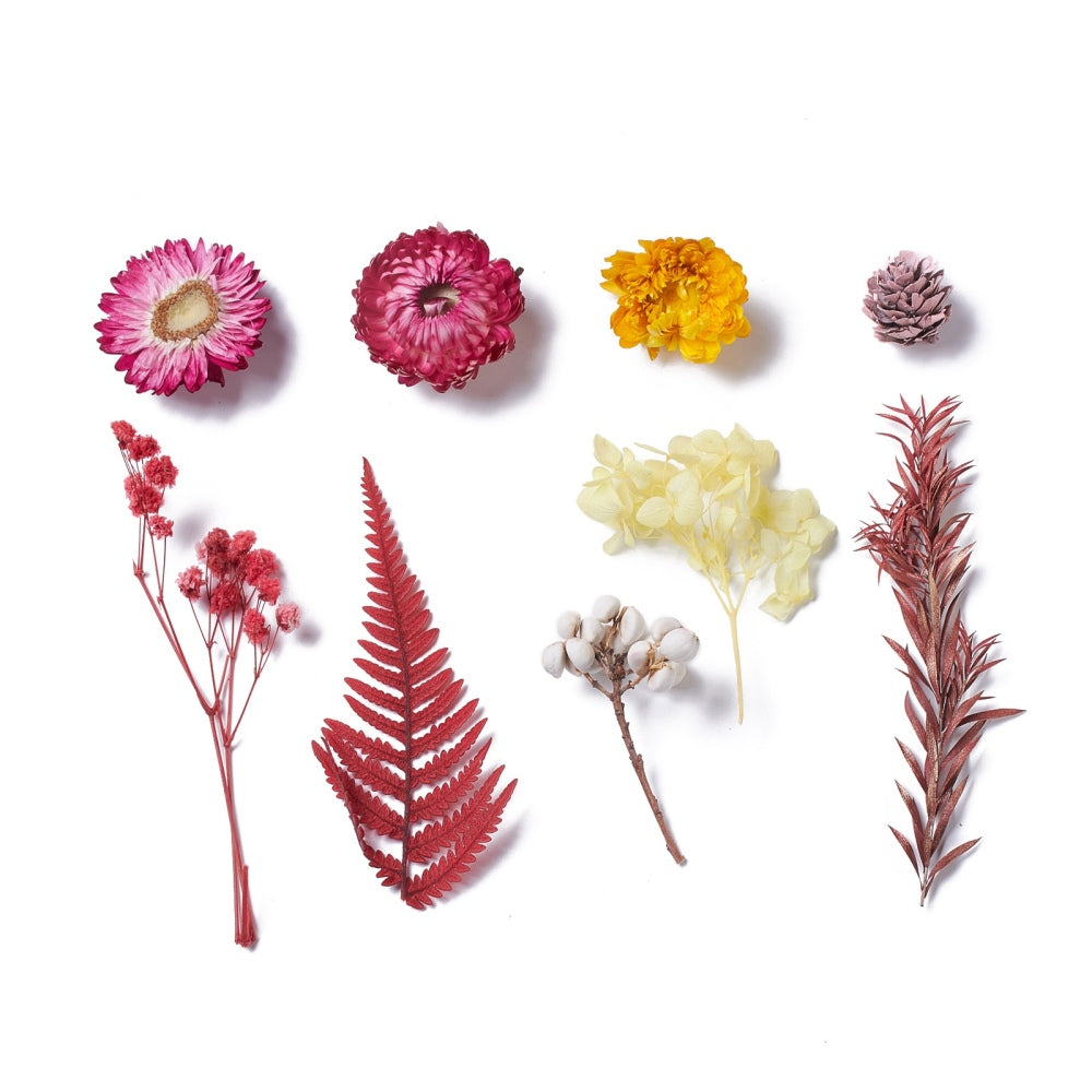 Mixed Colourful Dried Flowers