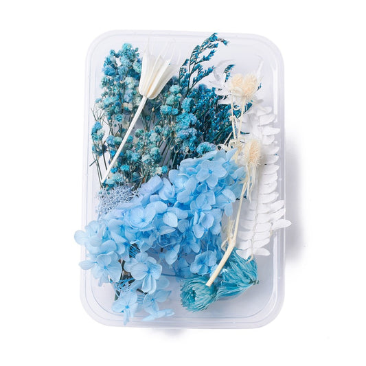 Mixed Blue and White Dried Flowers