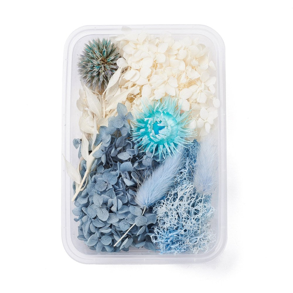 Mixed White and Blue Dried Flowers