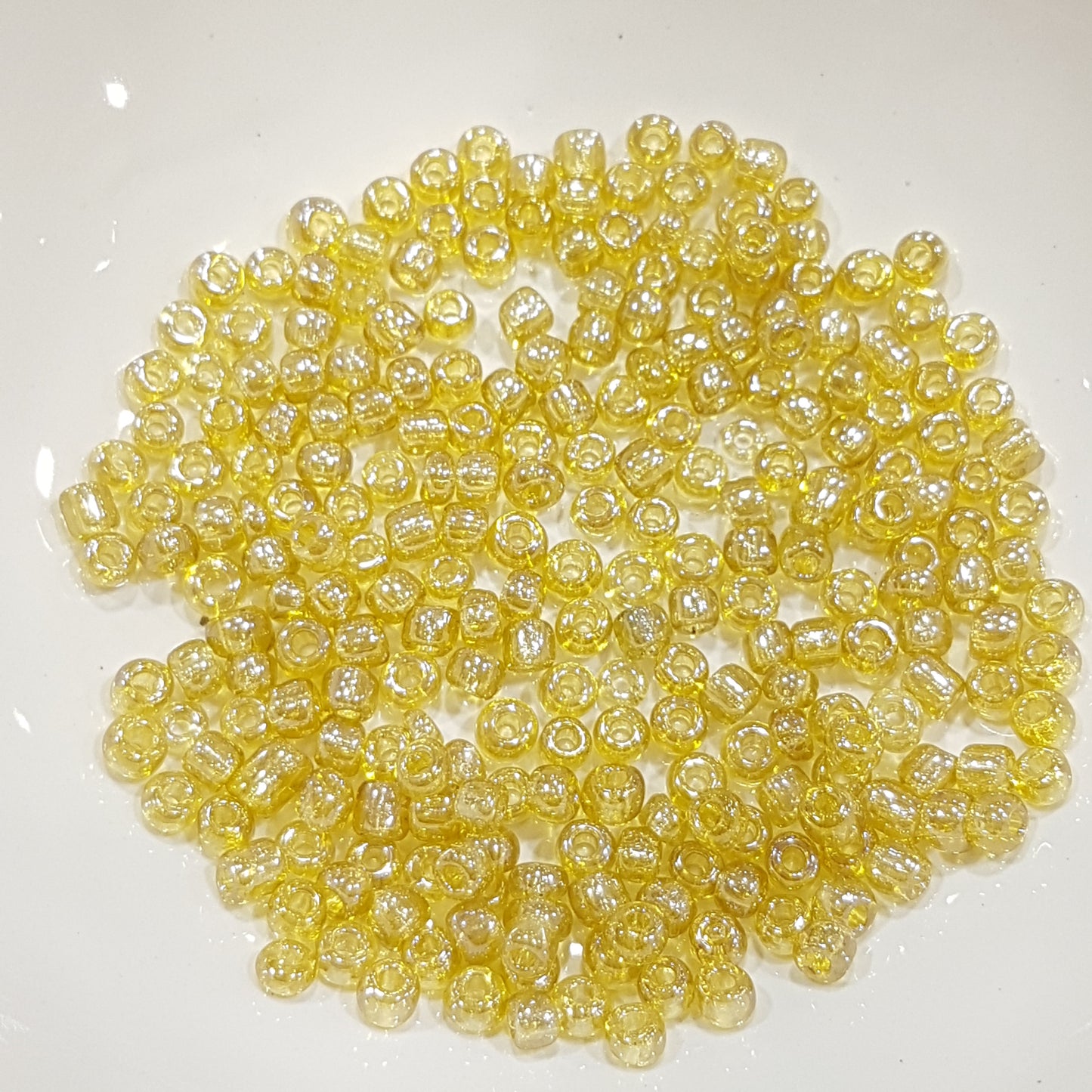 15g 6/0 Light Gold Seed Beads
