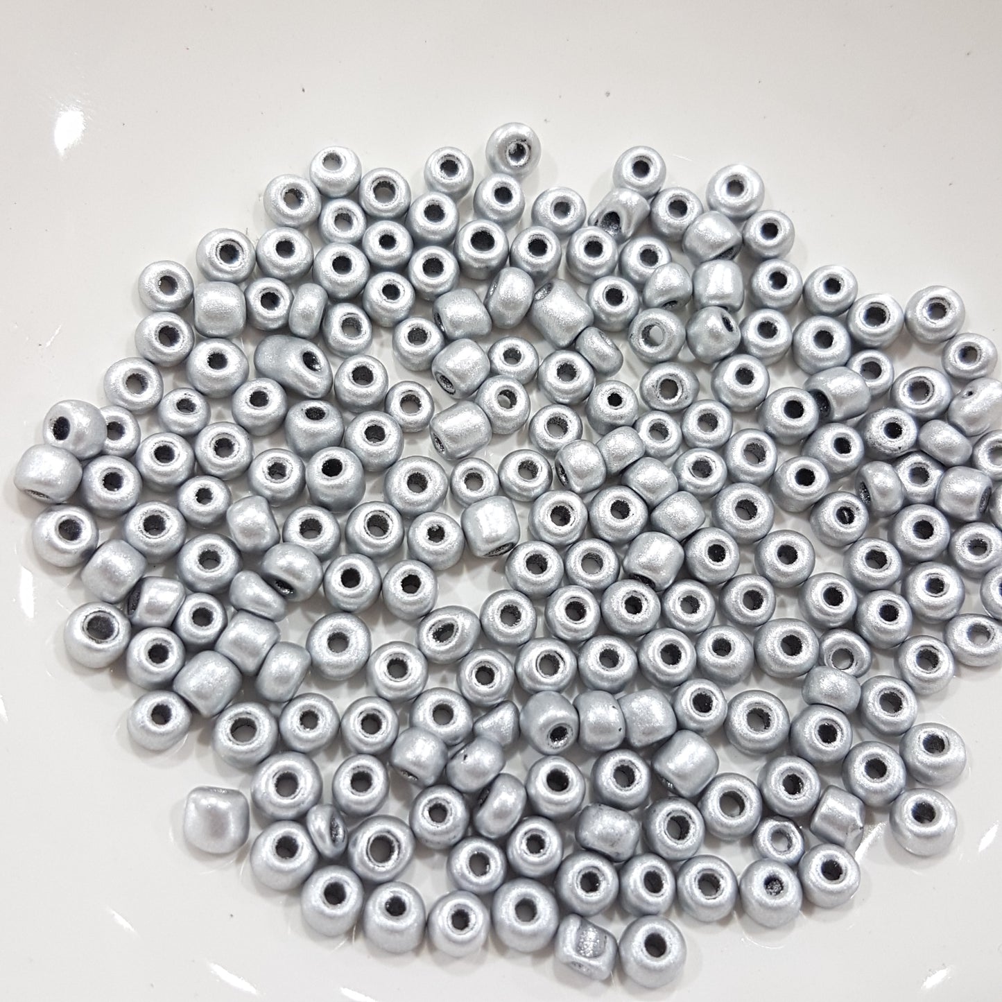 15g 6/0 Silver Painted Seed Beads