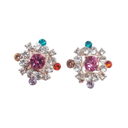 Multi Colour Sparkling Earrings