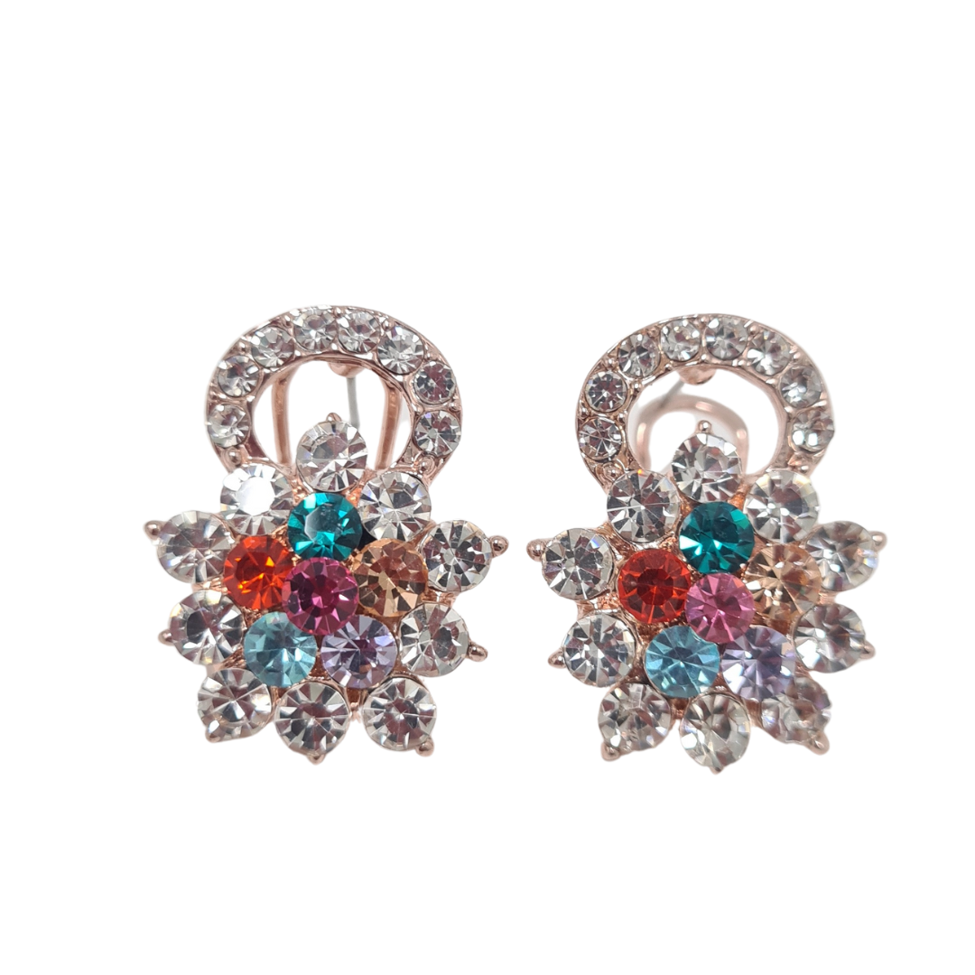 Multi Colour Rhinestone Earrings