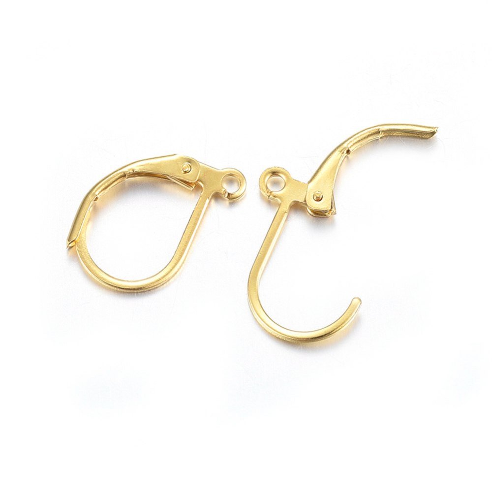 10pc 24k GP Leverback Earring Hooks